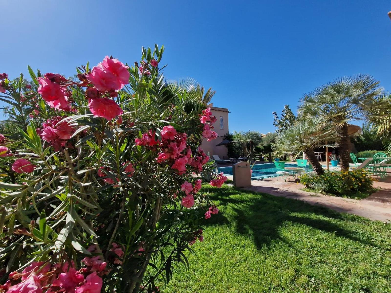Manzal Lahbab, 2Villas 2Bungalows 2Piscines Et Jardins Ouled Jelal Exterior photo